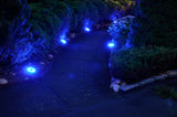 Blue Solar Powered Pathway Lights